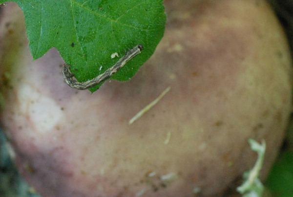 uscita 26 maggio 2009 in cerrina